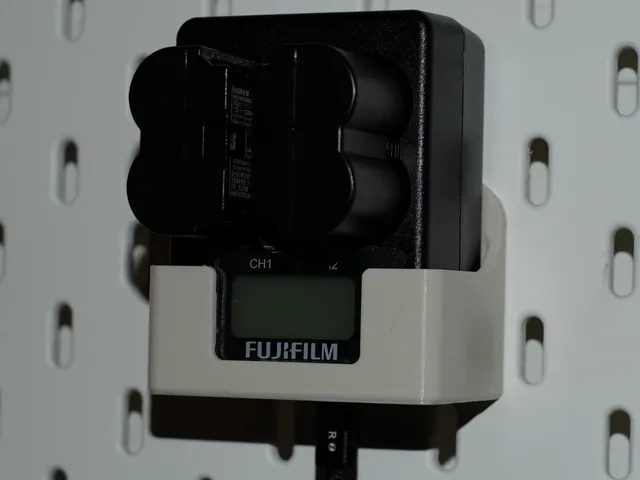Skadis Fujifilm dual charger - NP-w235