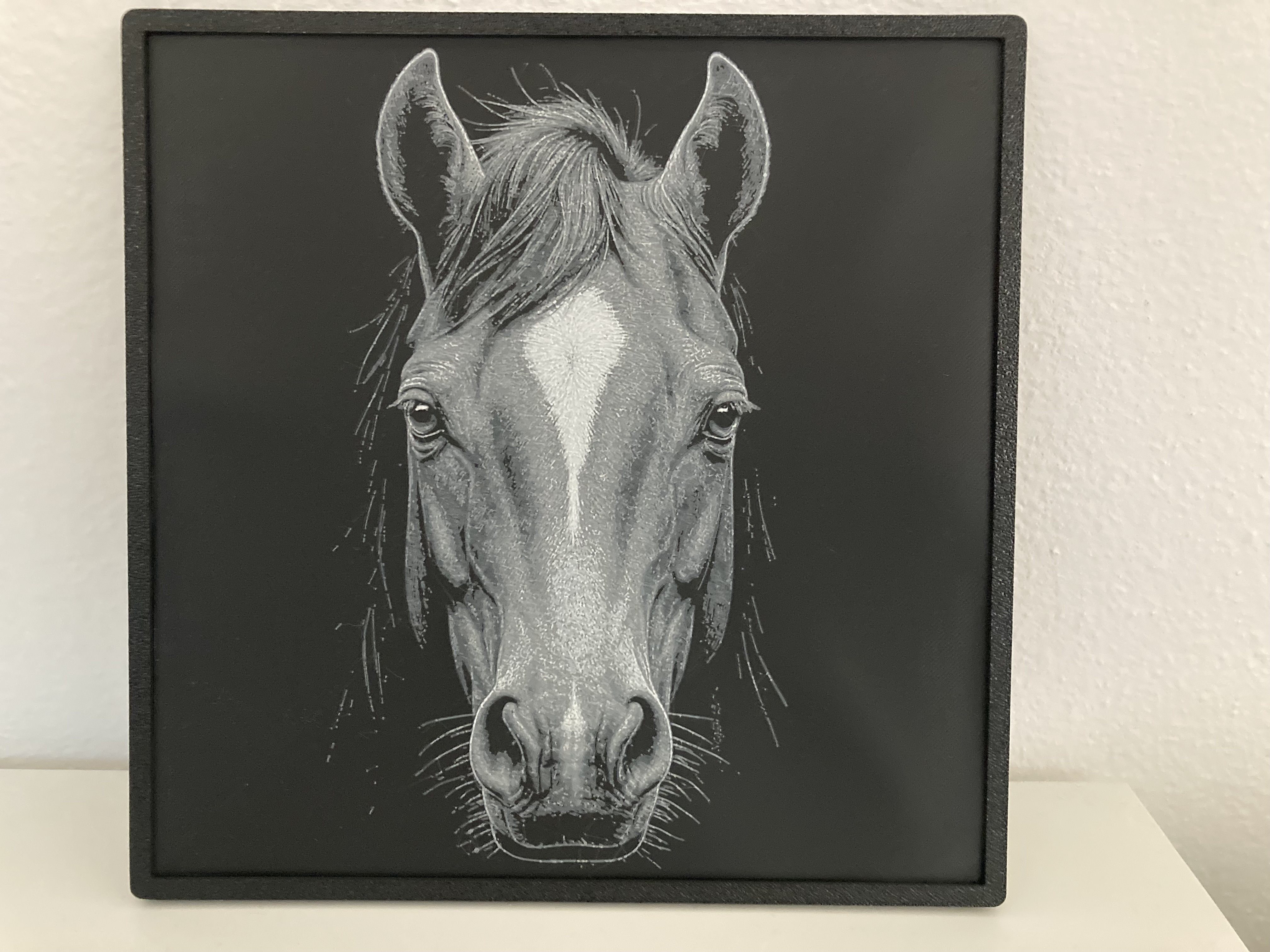 Horse head - HueForge