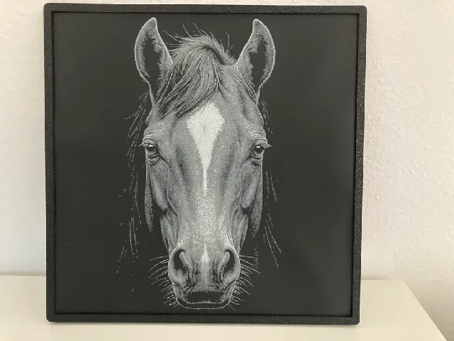 Horse head - HueForge