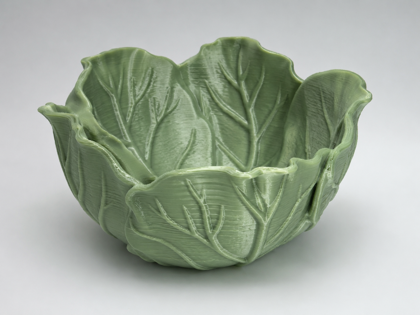 Kohlschale/Cabbage shell