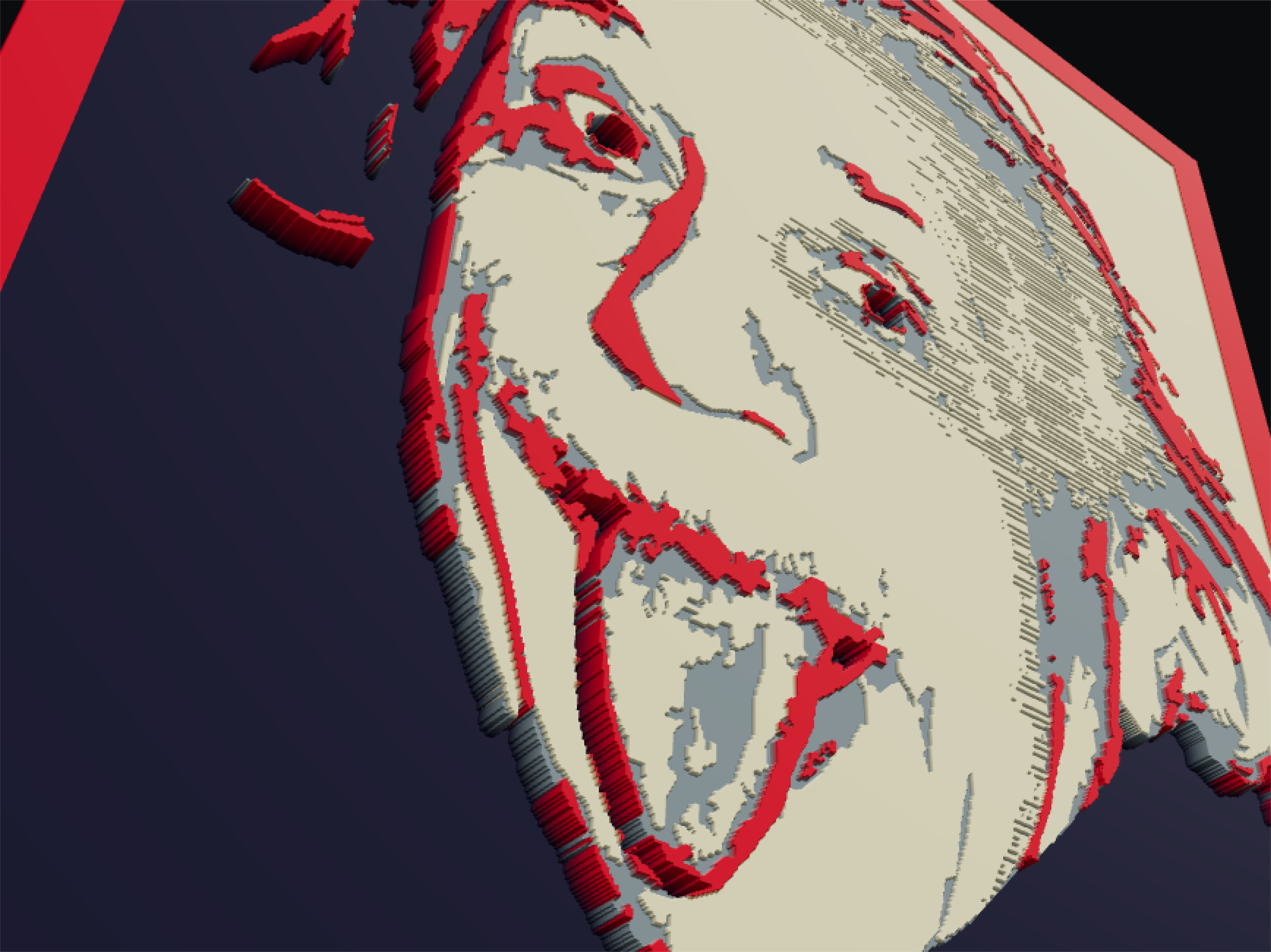 Albert Einstein hueforge — miniatura 2