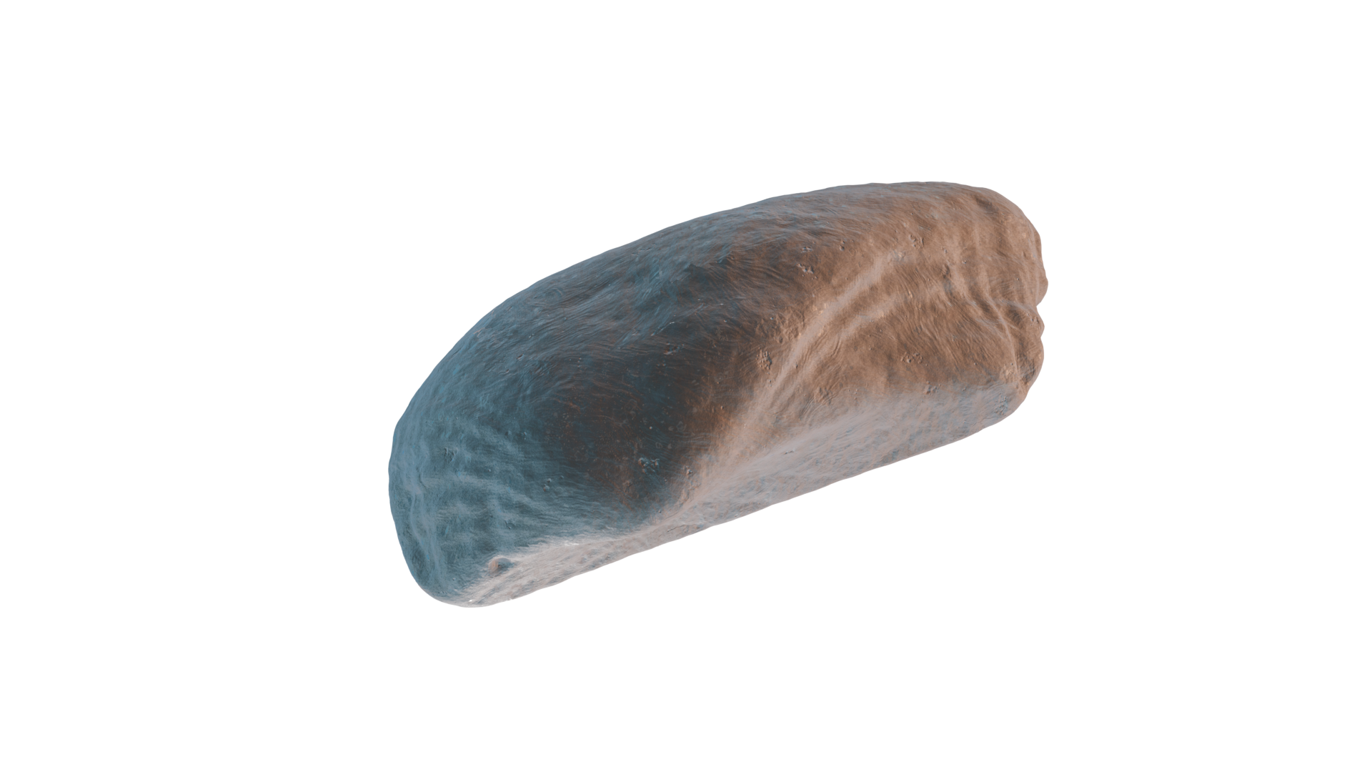 Seashell 3d Scan