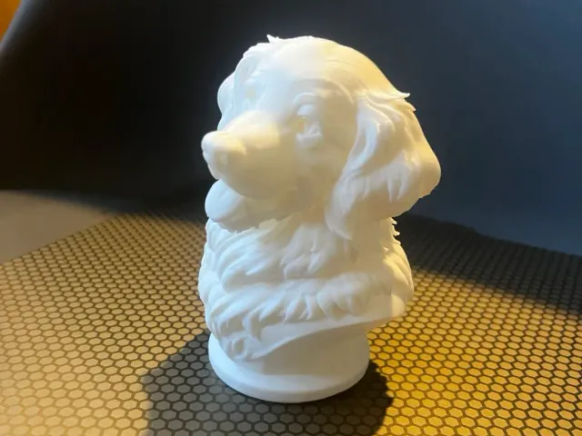 dog head