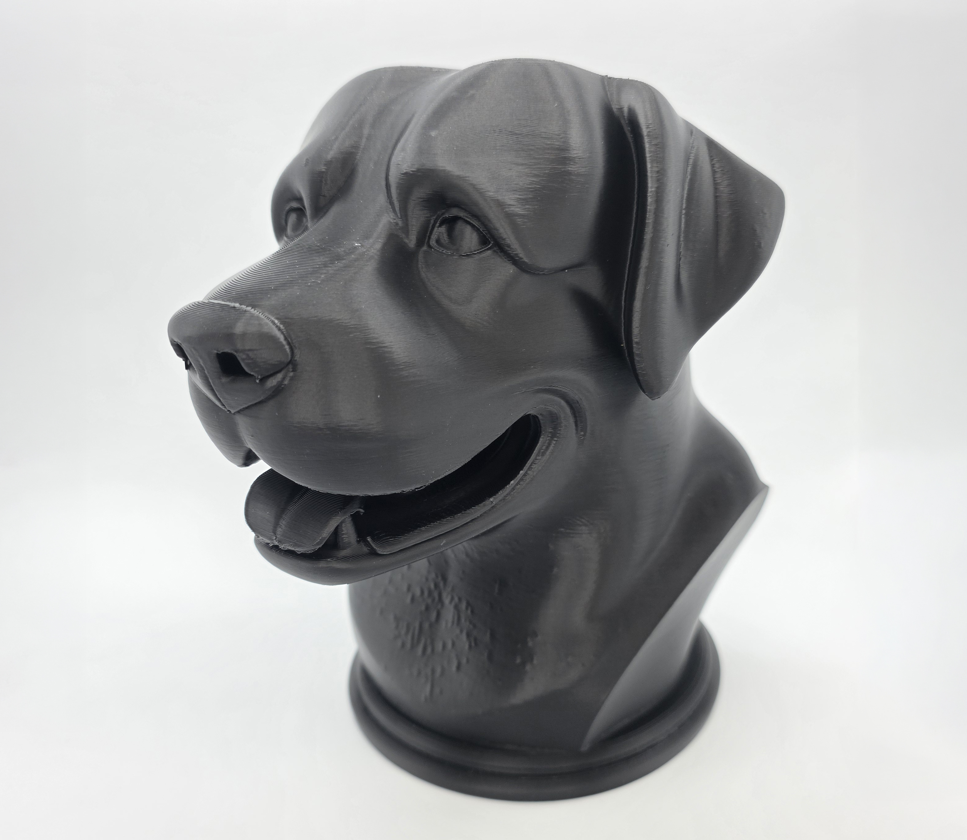 Rottweiler Bust Smiling 2
