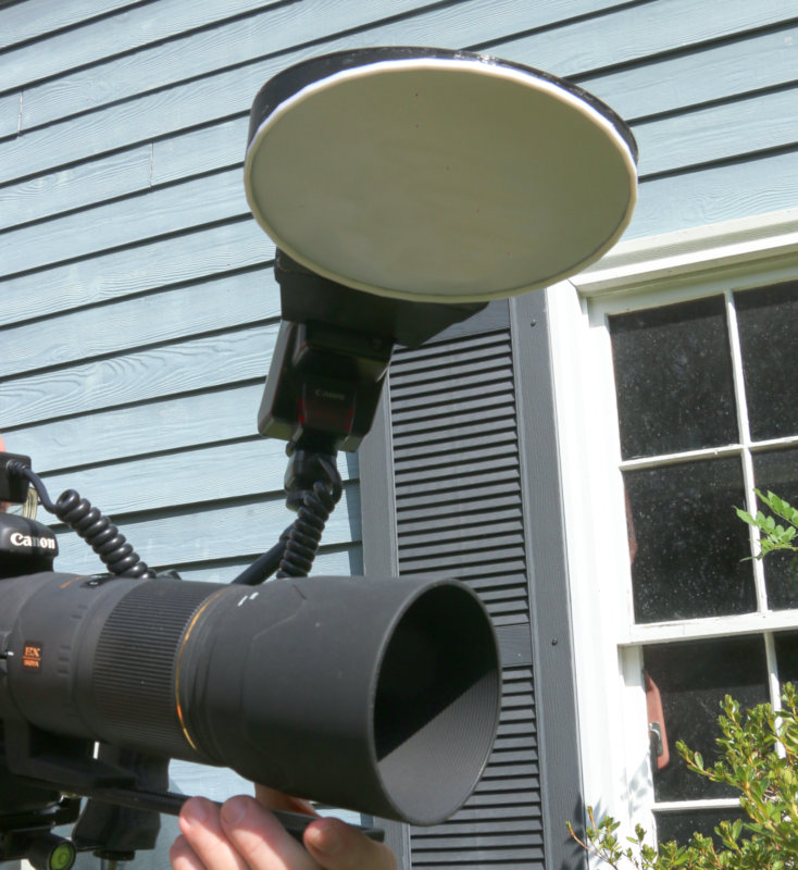 Softbox for macro work — miniatura 4