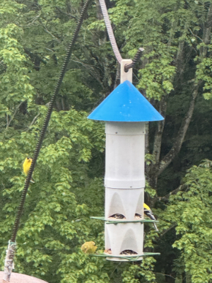8 Station Bird Feeder