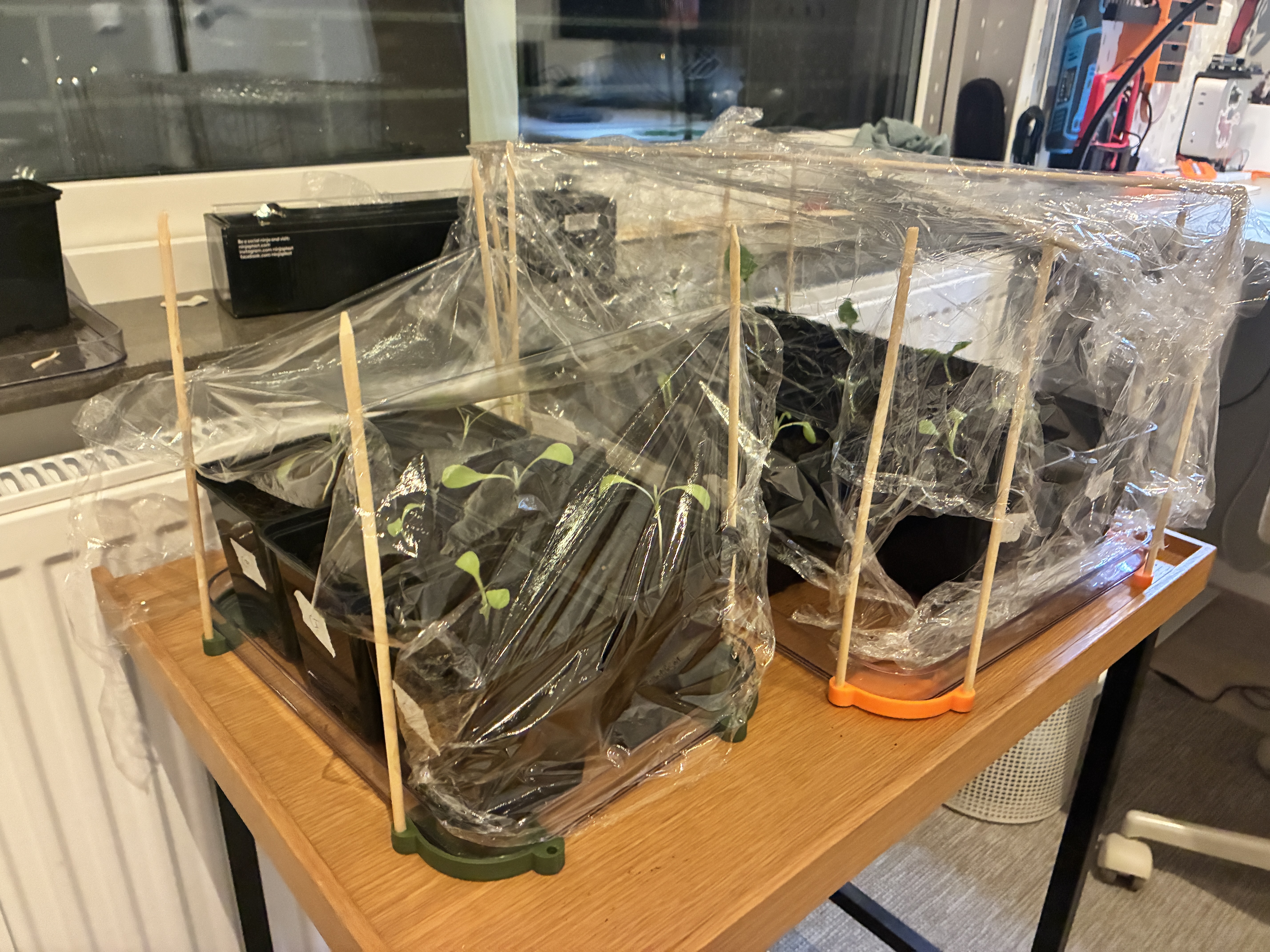 Cat-Proof Seedling Guard with 5mm Stakes 3D model