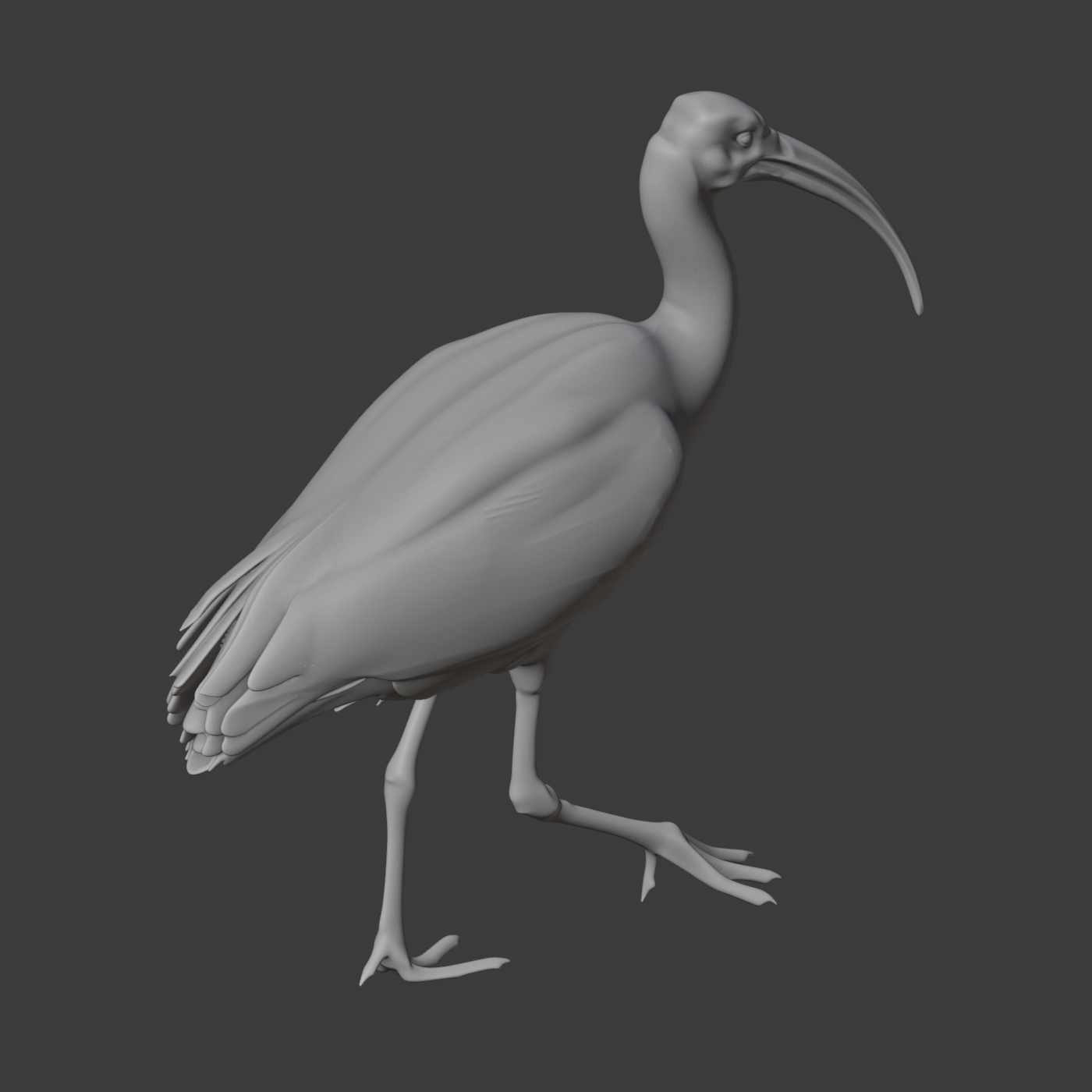 Ibis