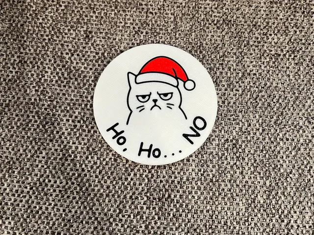 "Ho, Ho… NO", Grumpy Cat Christmas Magnet
