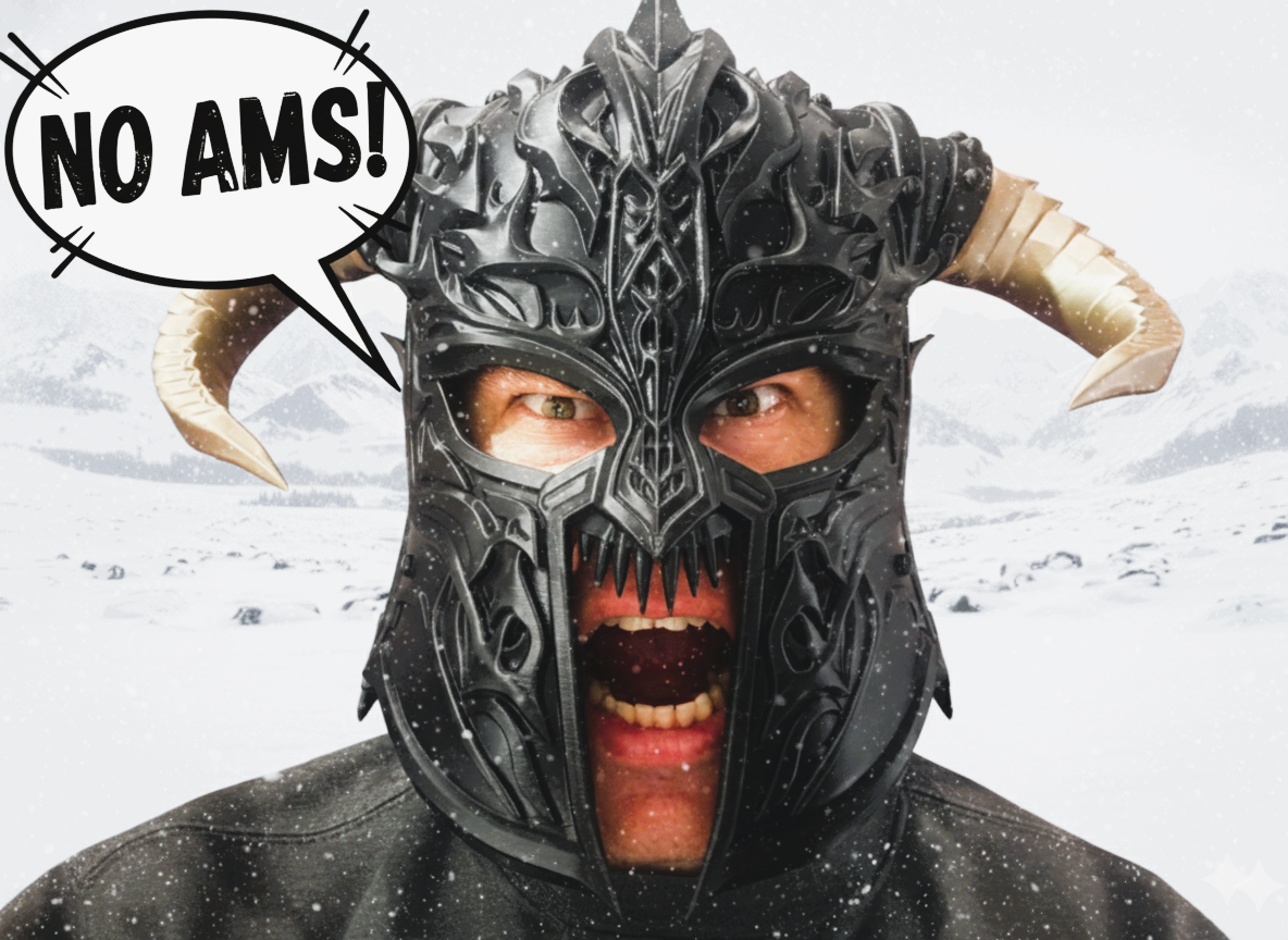 VIKING HELMET