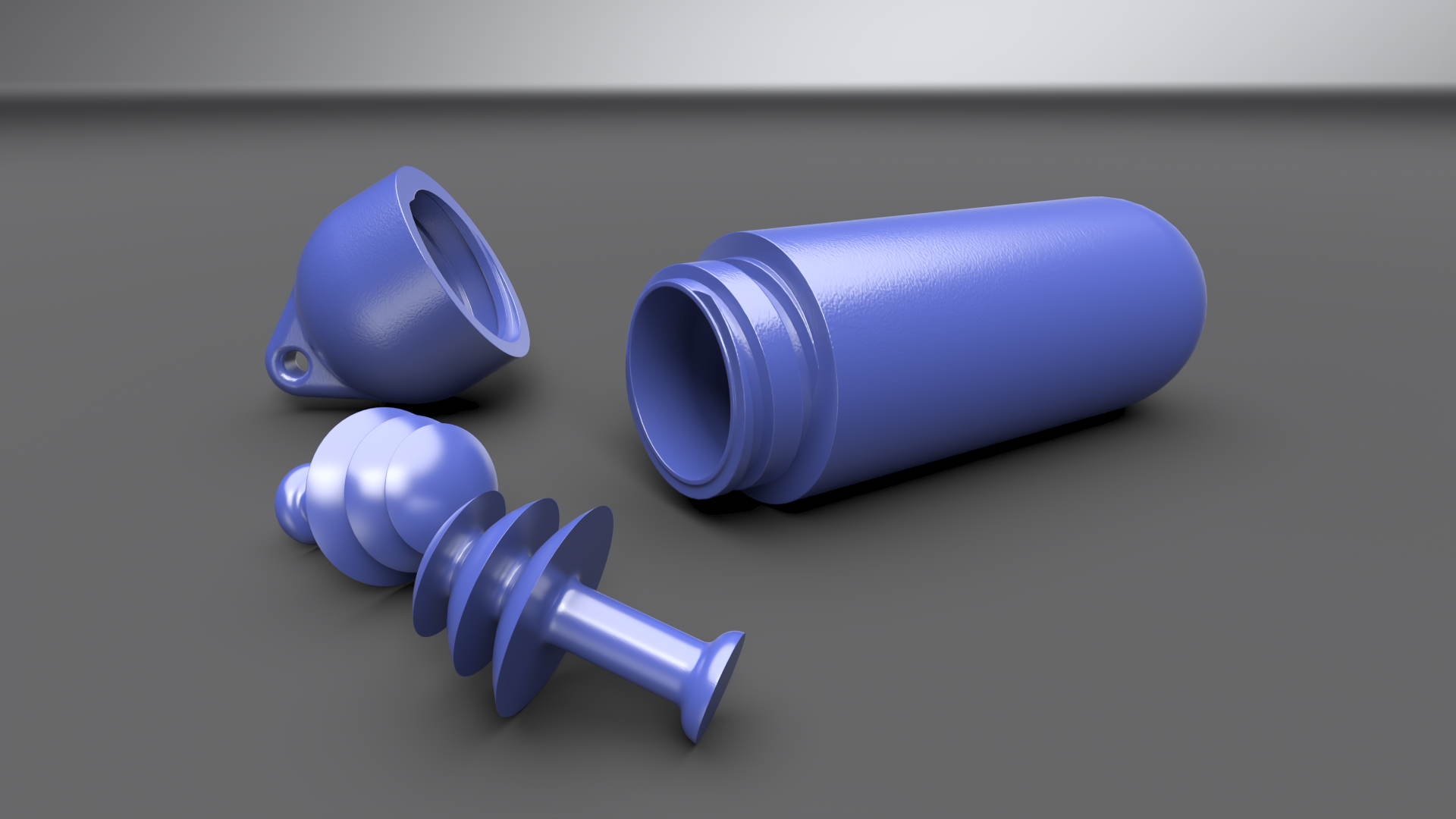 Reusable Earplugs with Keychain Case