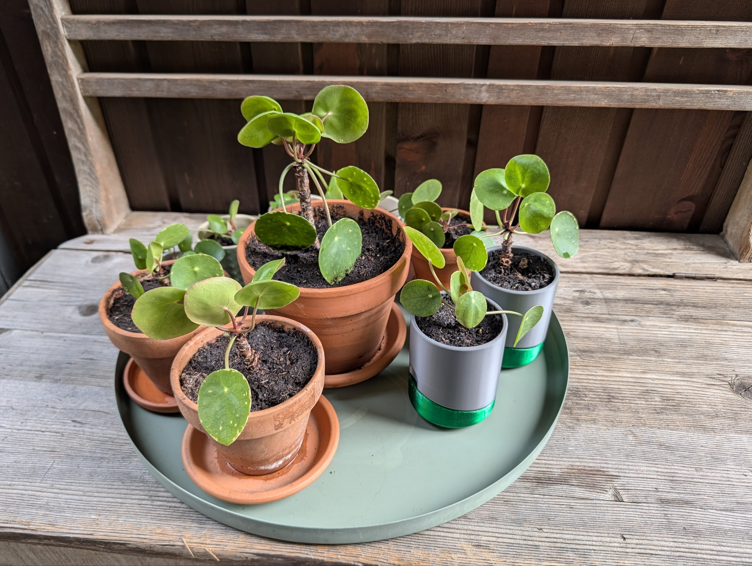 Parametric planter with driptray — thumbnail 2