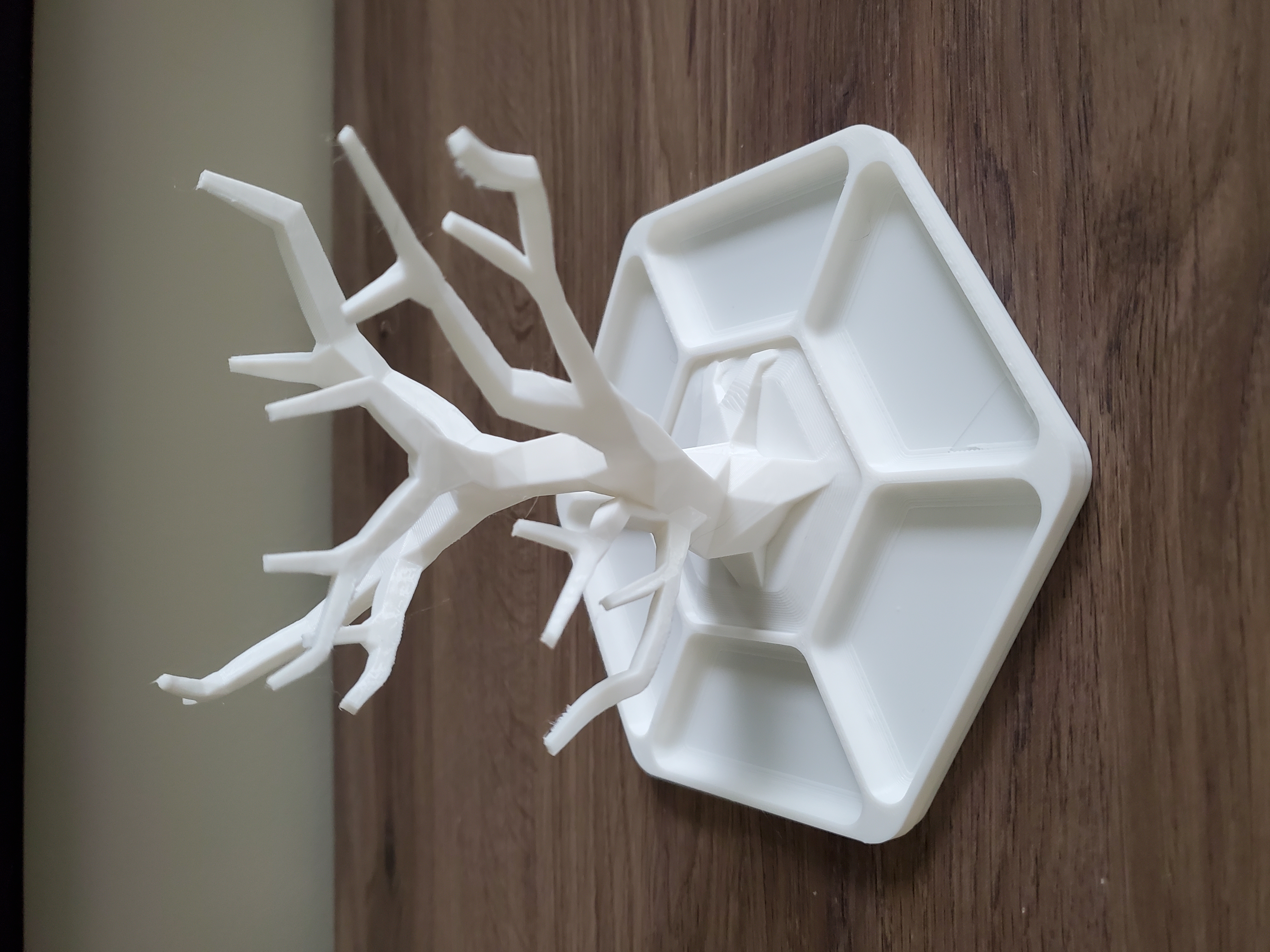 Jewelry Tree and Hexagonal Tray