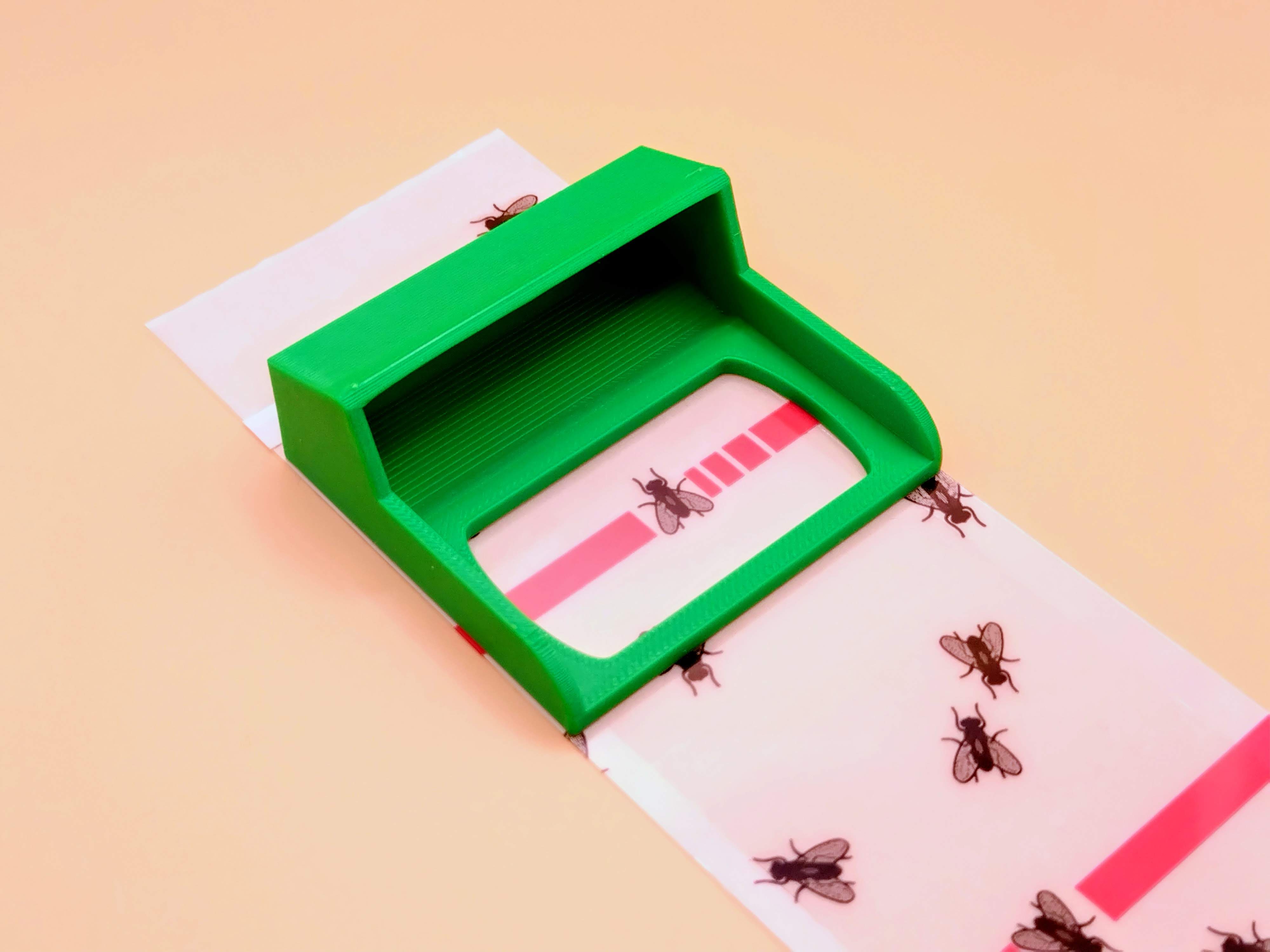 Reducer for catching fruit flies 3D model