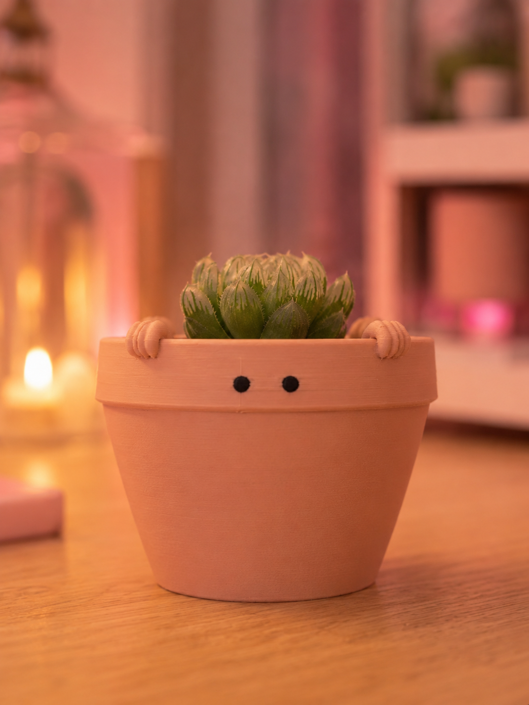 "Peeko" - Cute Plant Pot