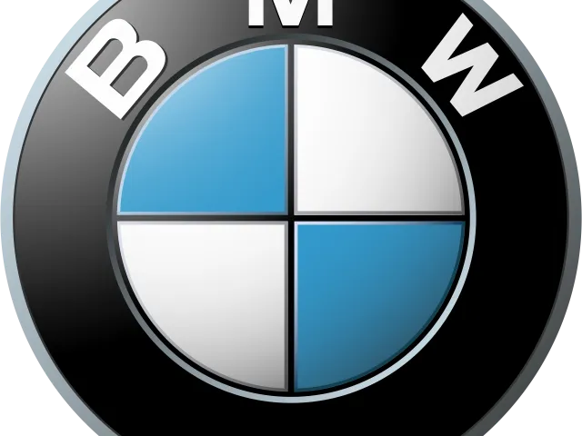 BMW key chain