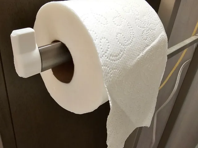toilet-roll-extension