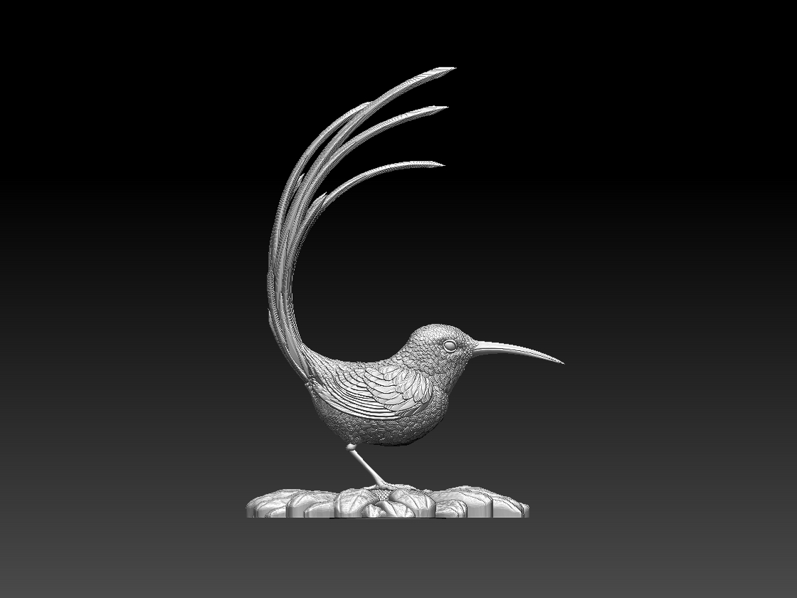 hummingbird — miniatura 6