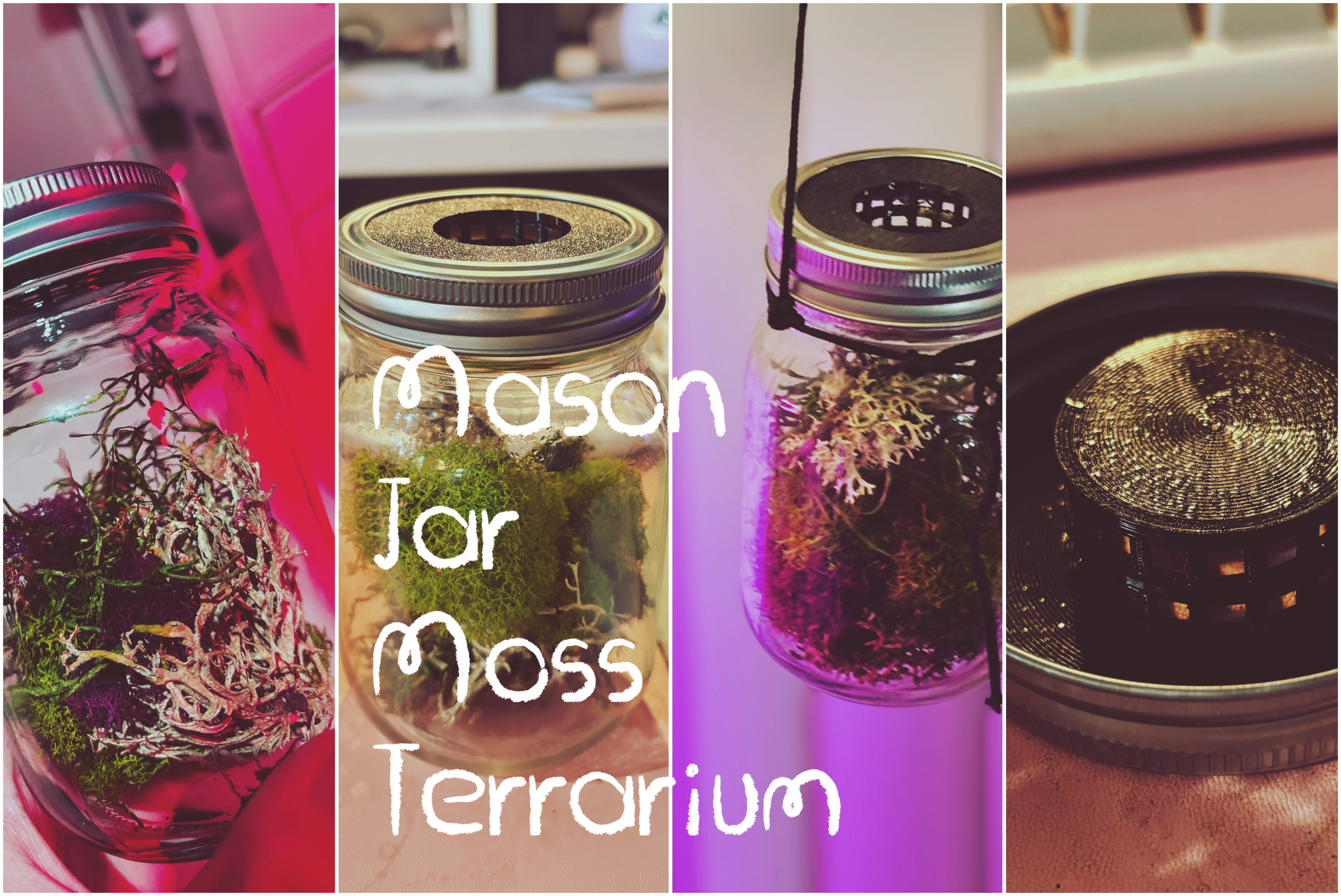 Mason Jar Terrarium Lid