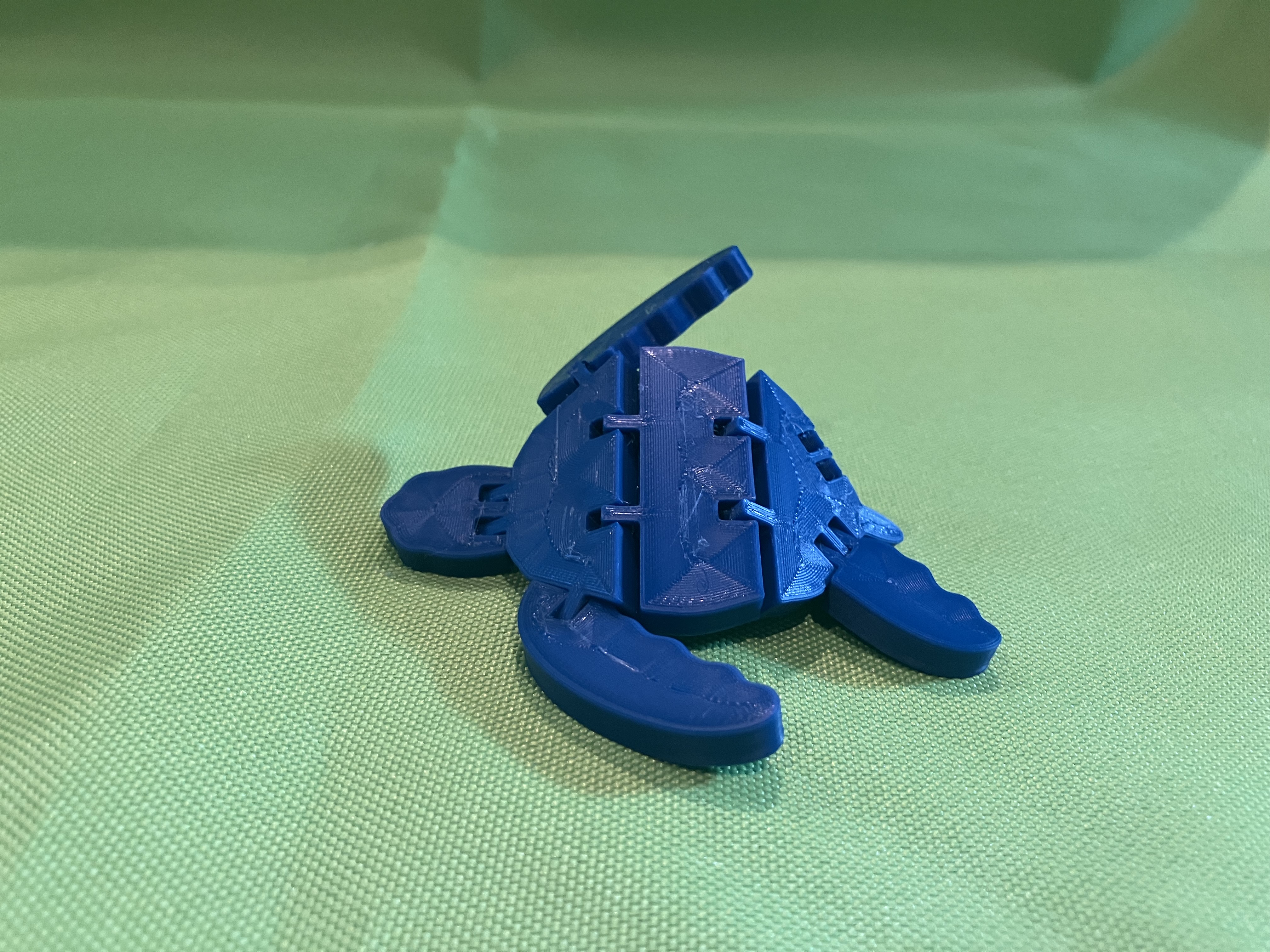 Miniatura 3 do modelo 3D Flexi Turtle