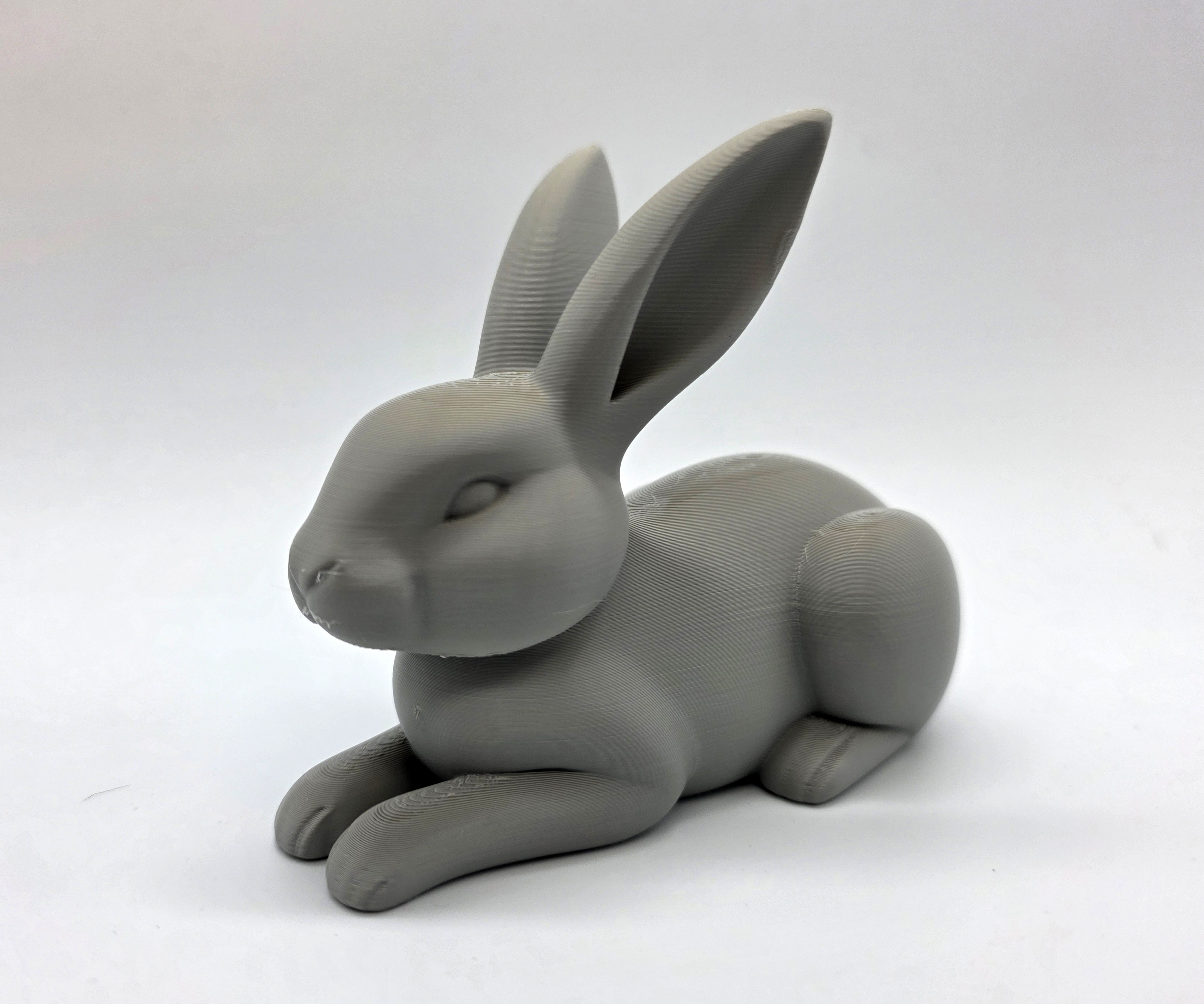 Lay-Down Rabbit — miniatura 5