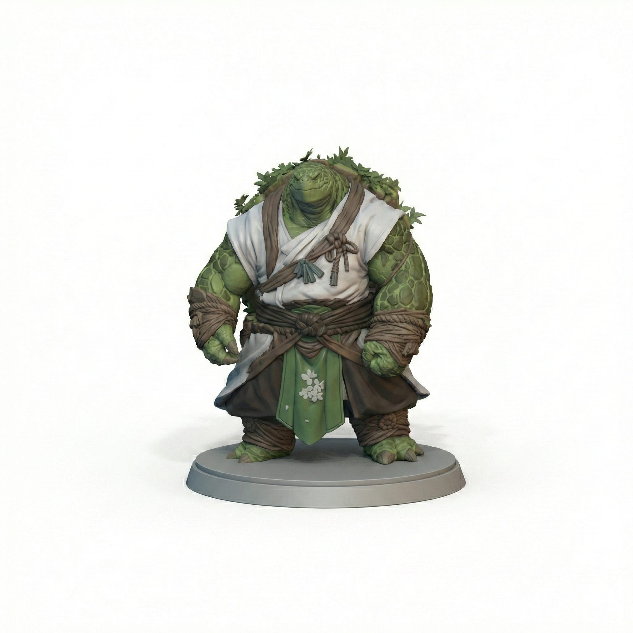 Tortle Monk Druid