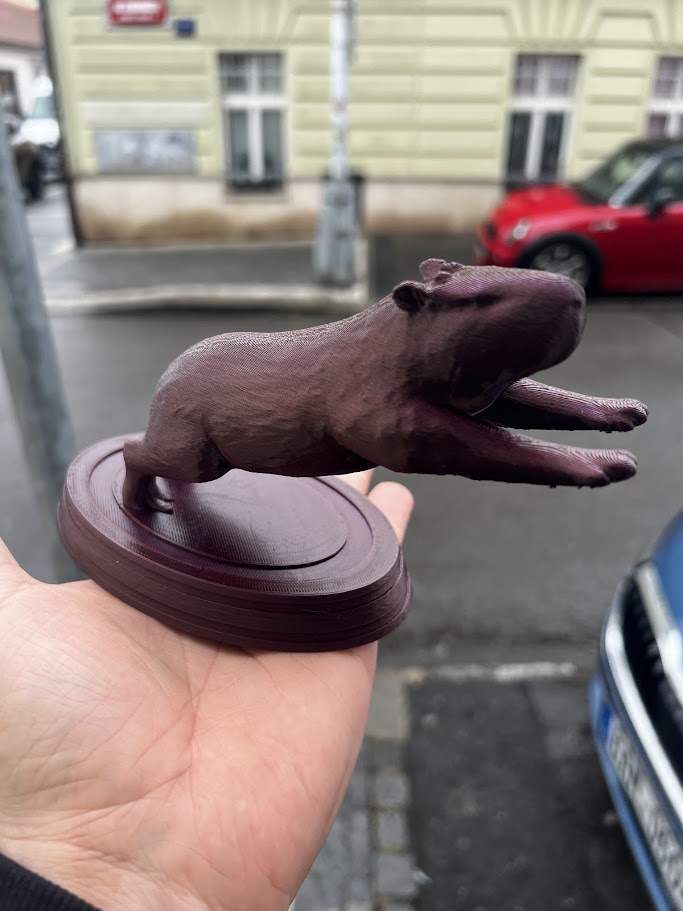 The spirit of capybara for your car