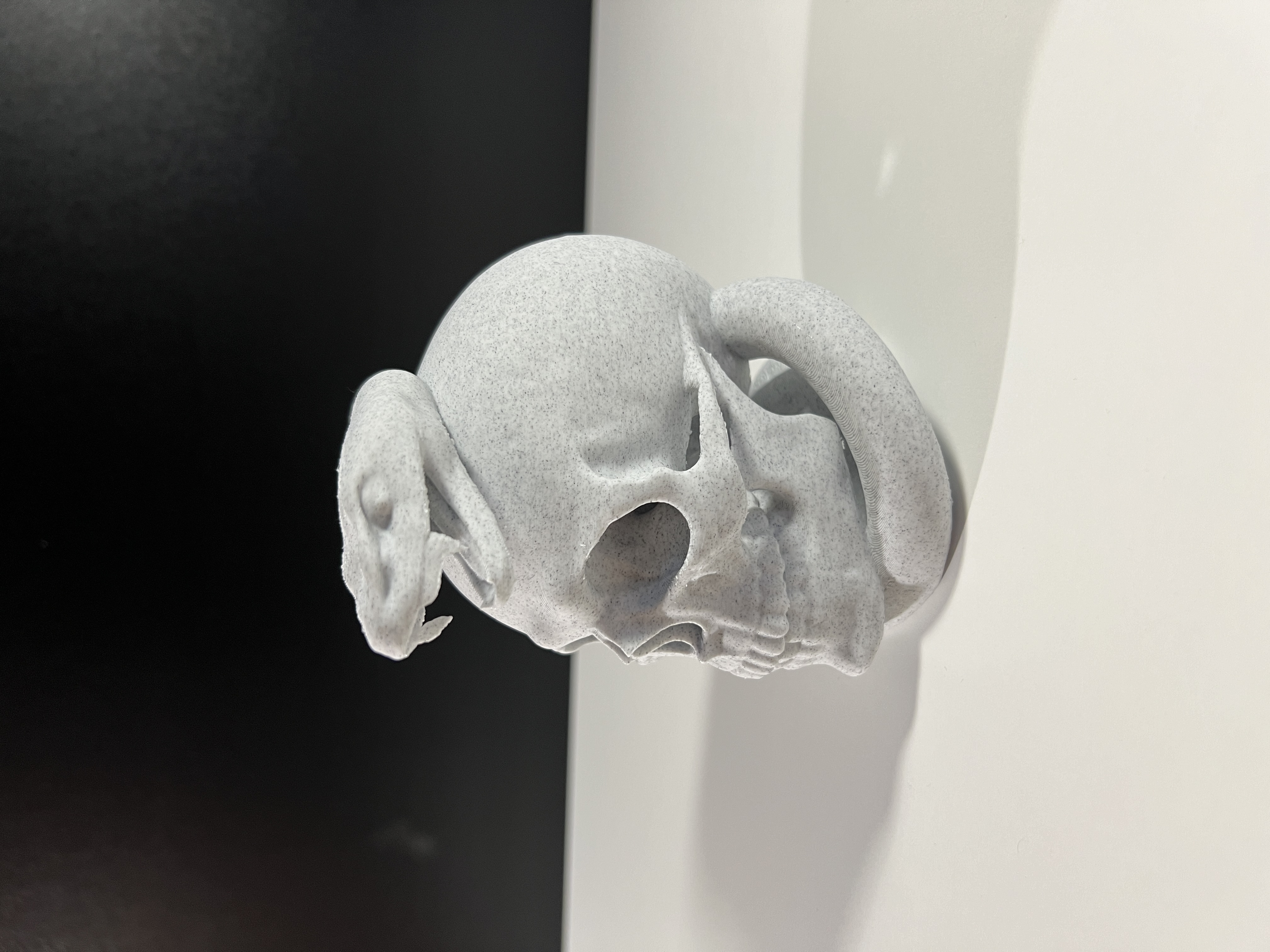 Miniatura 5 do modelo 3D Skull with Snake
