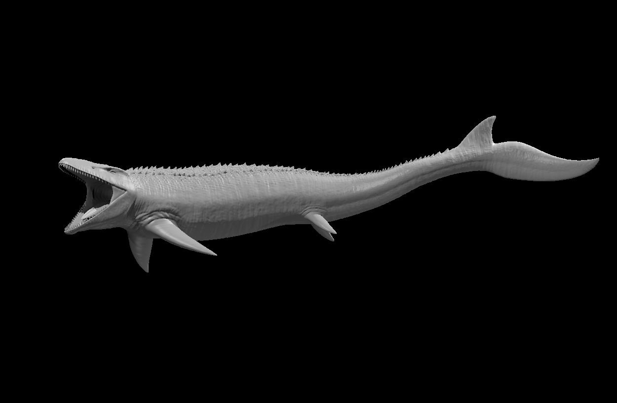 Mosasaur