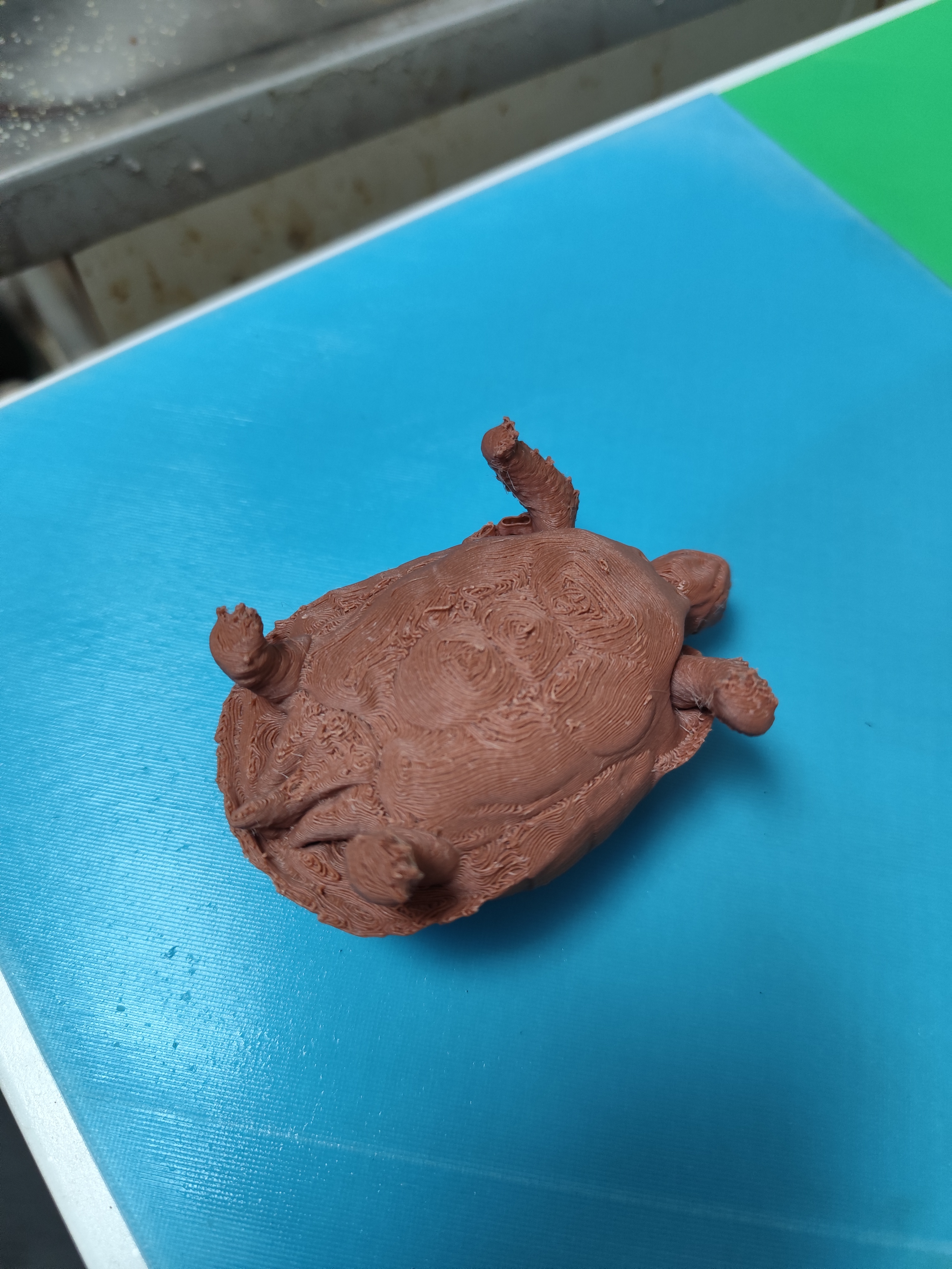 tortoise egg cup — miniatura 5