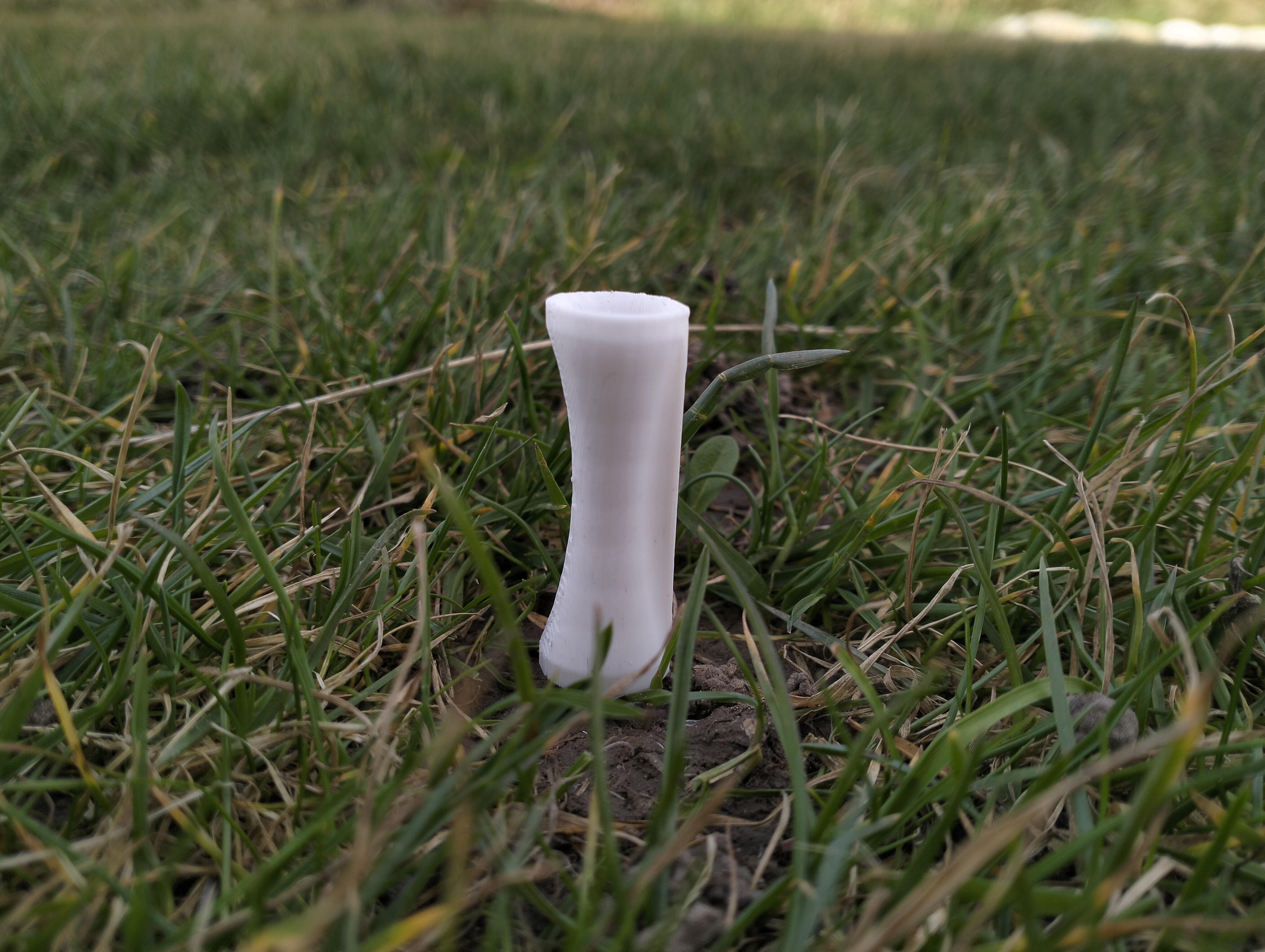 Golf Tee