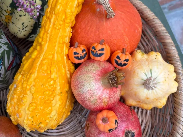 mini pumpkins