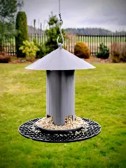 Automatic Bird Feeder