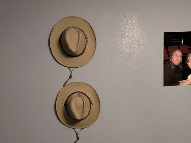 Hat hanger, 2 sizes - easy to print