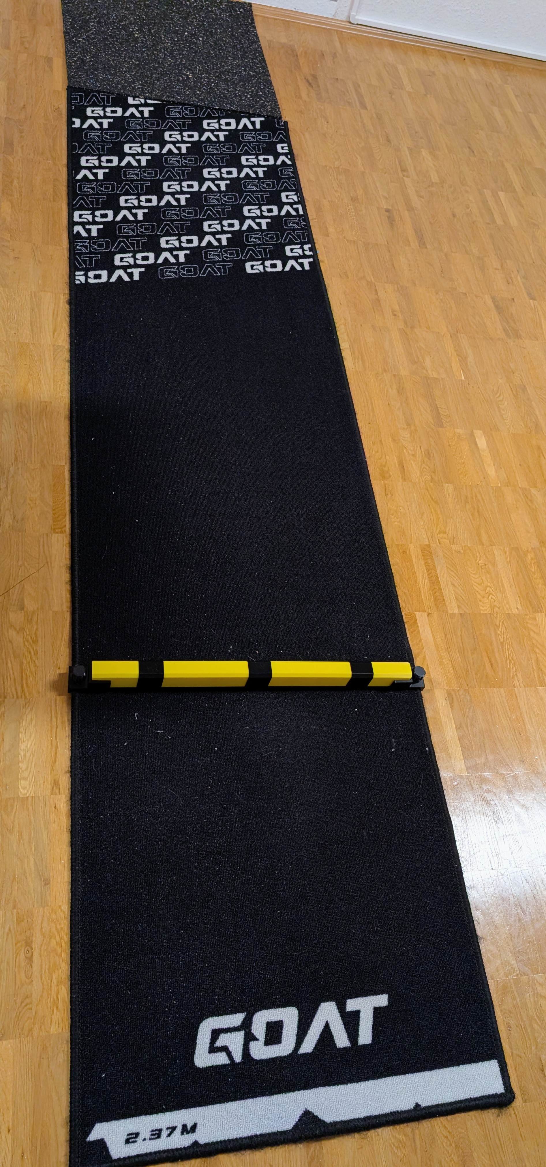 Darts oche (throw line, toe line)