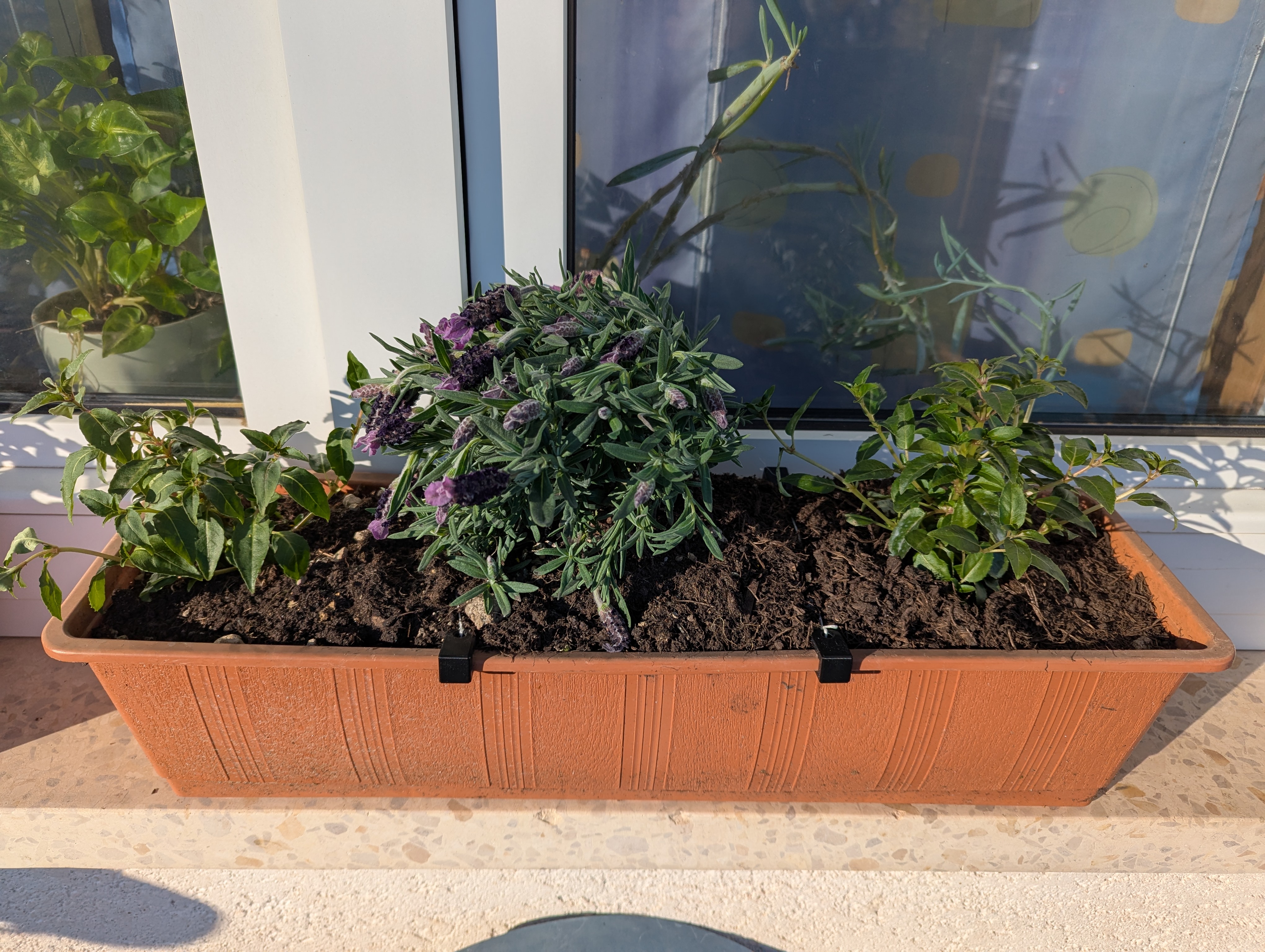 Blumenkasten Spannhaken