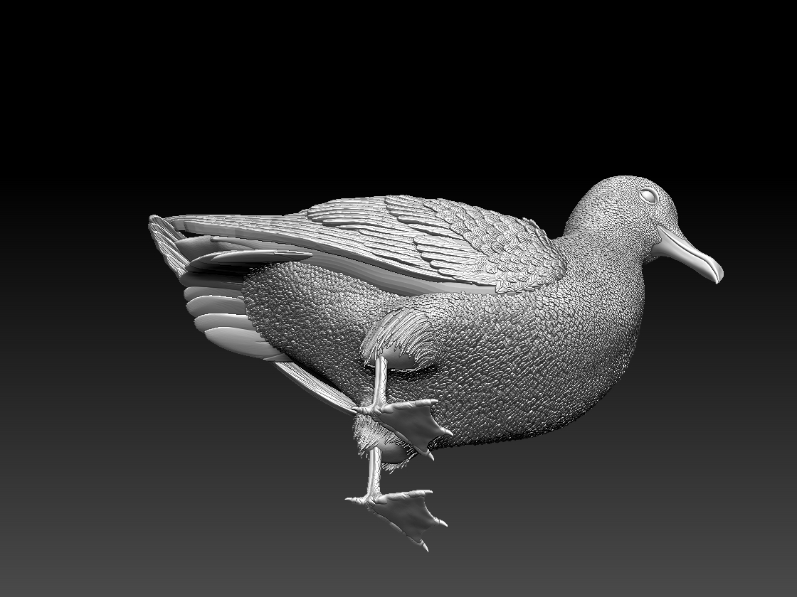 seagull — miniatura 8