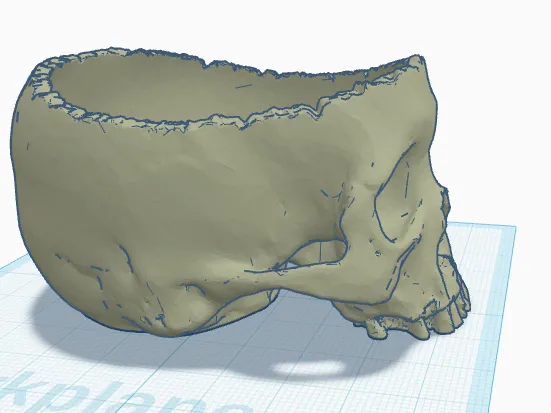 mini skull bowl