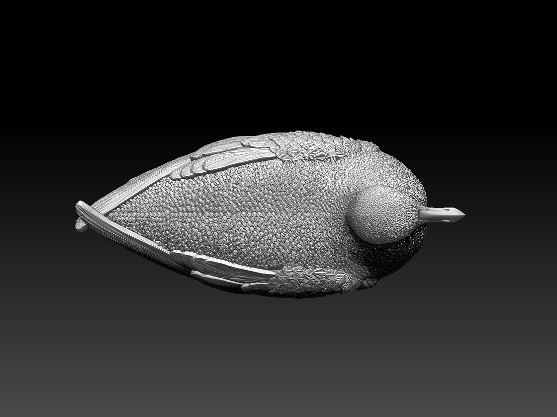 seagull — miniatura 7