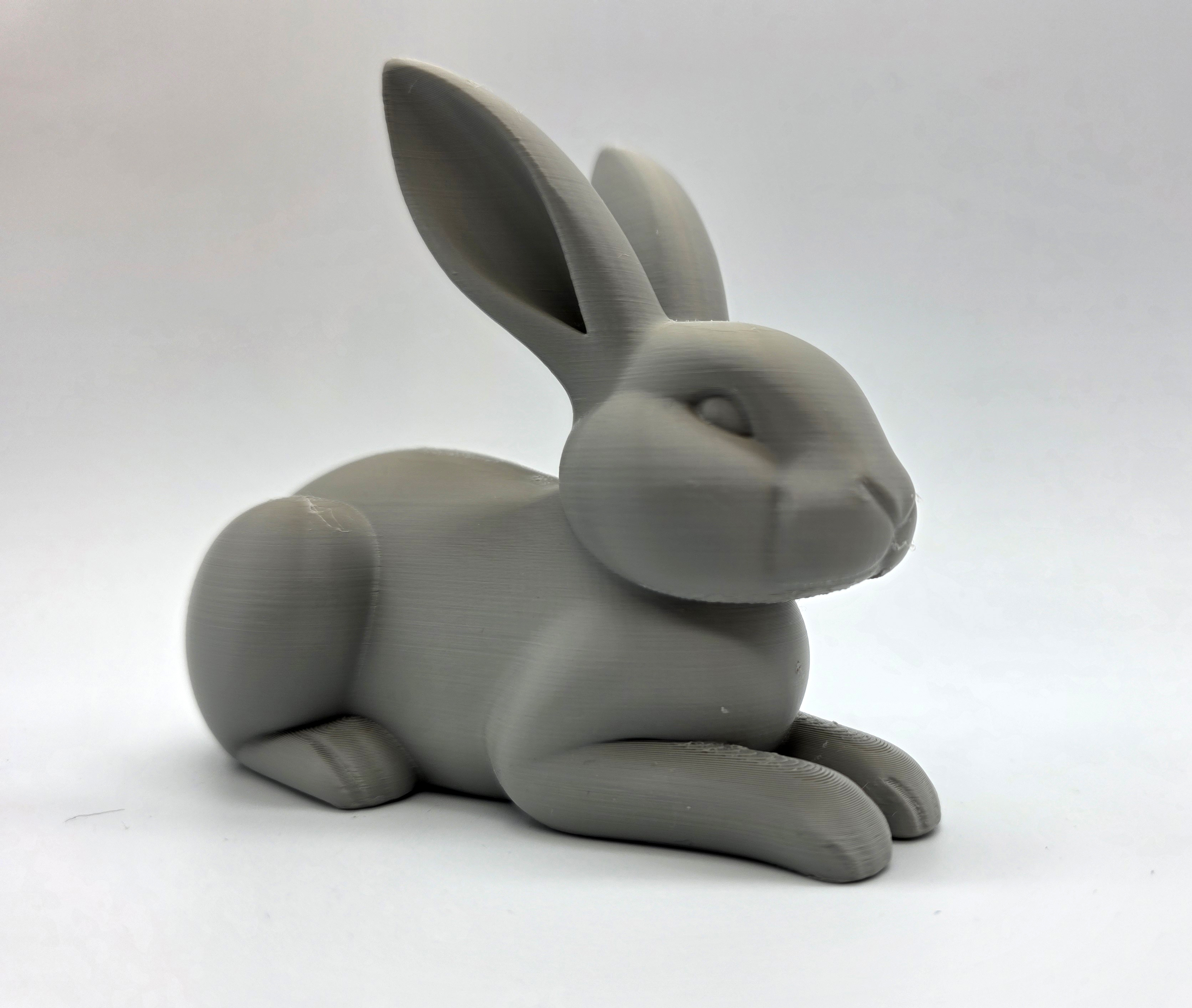 Lay-Down Rabbit — miniatura 2