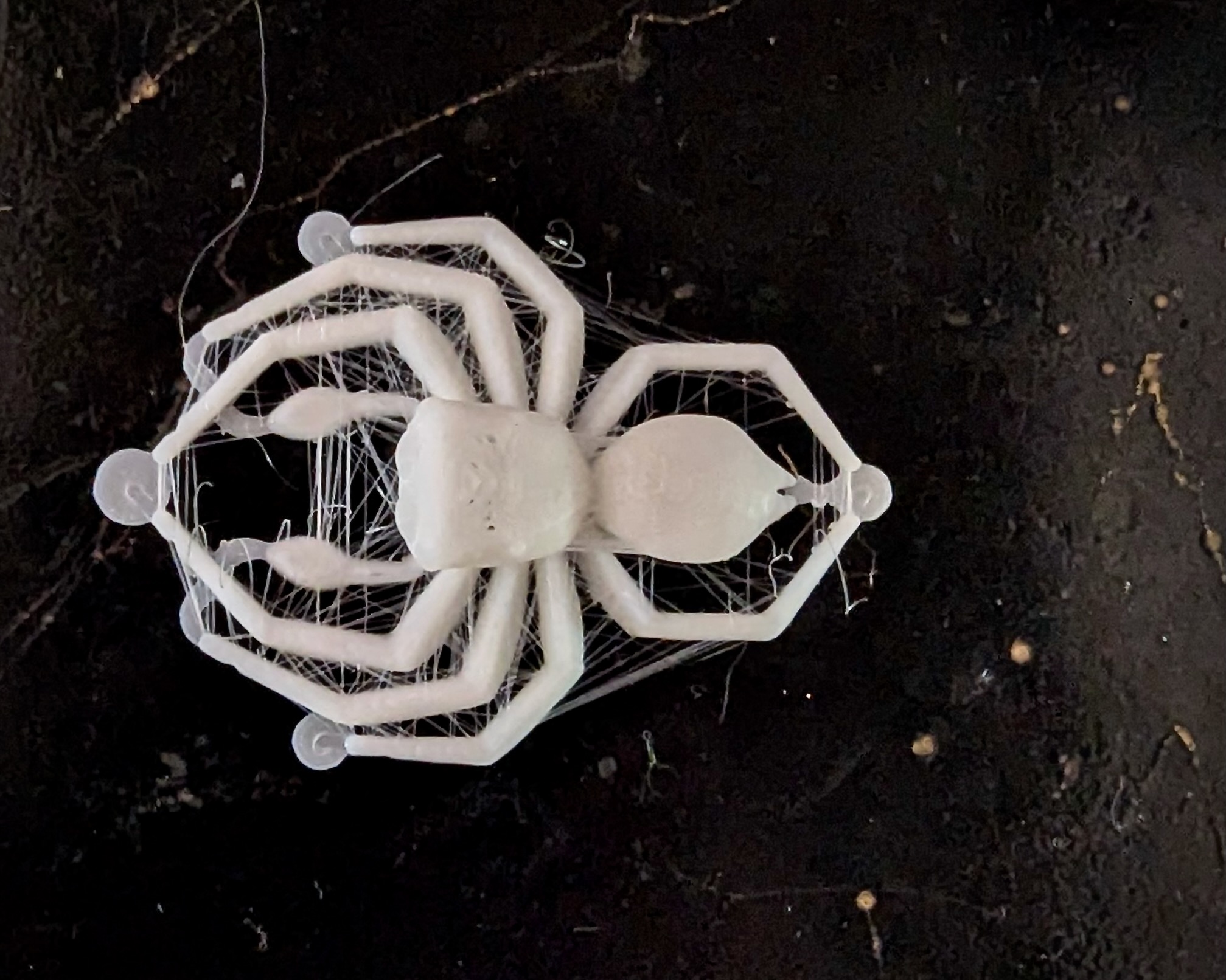 Jumping Spider — miniatura 5