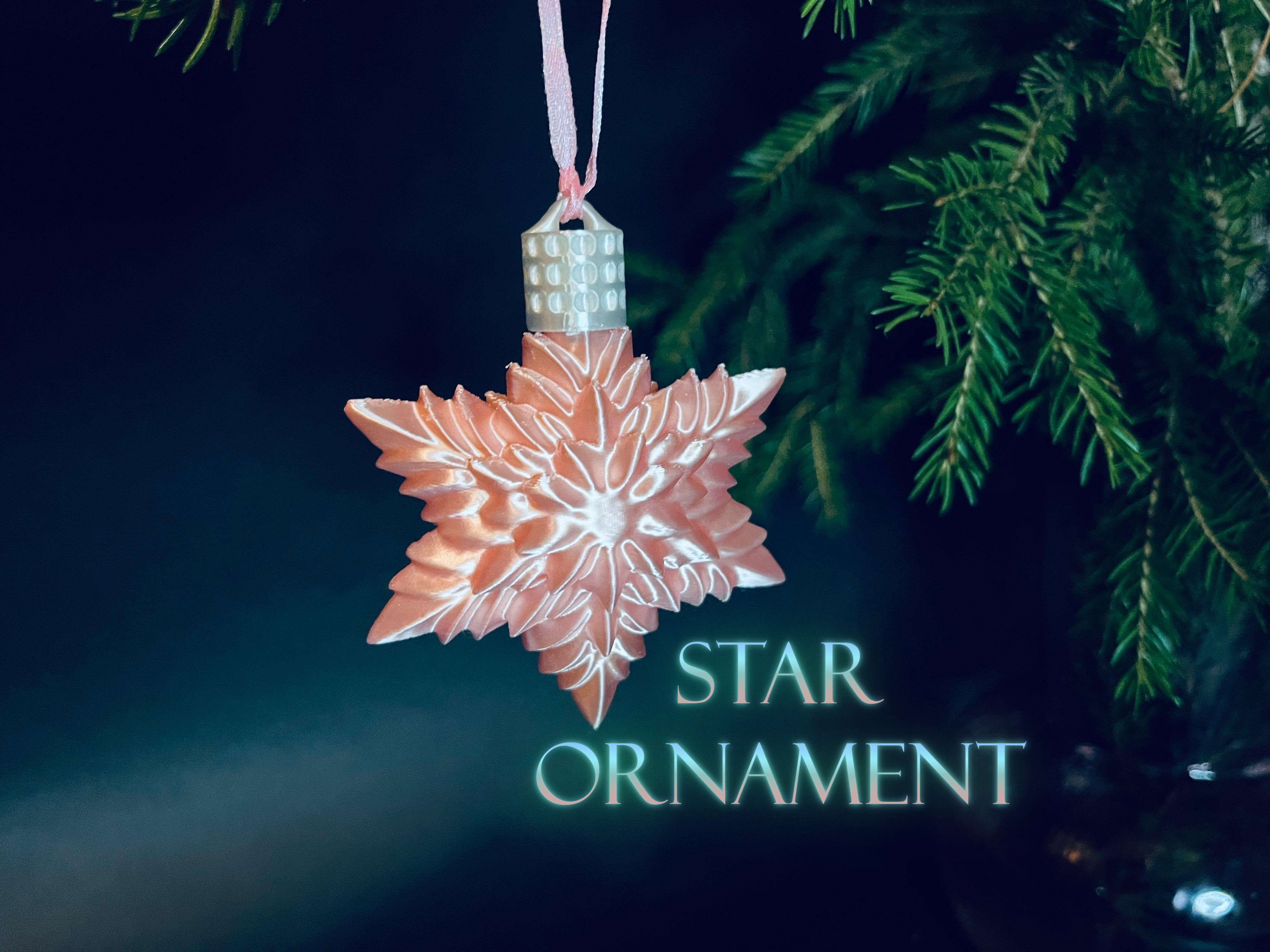 Christmas tree star ornament collection 2025