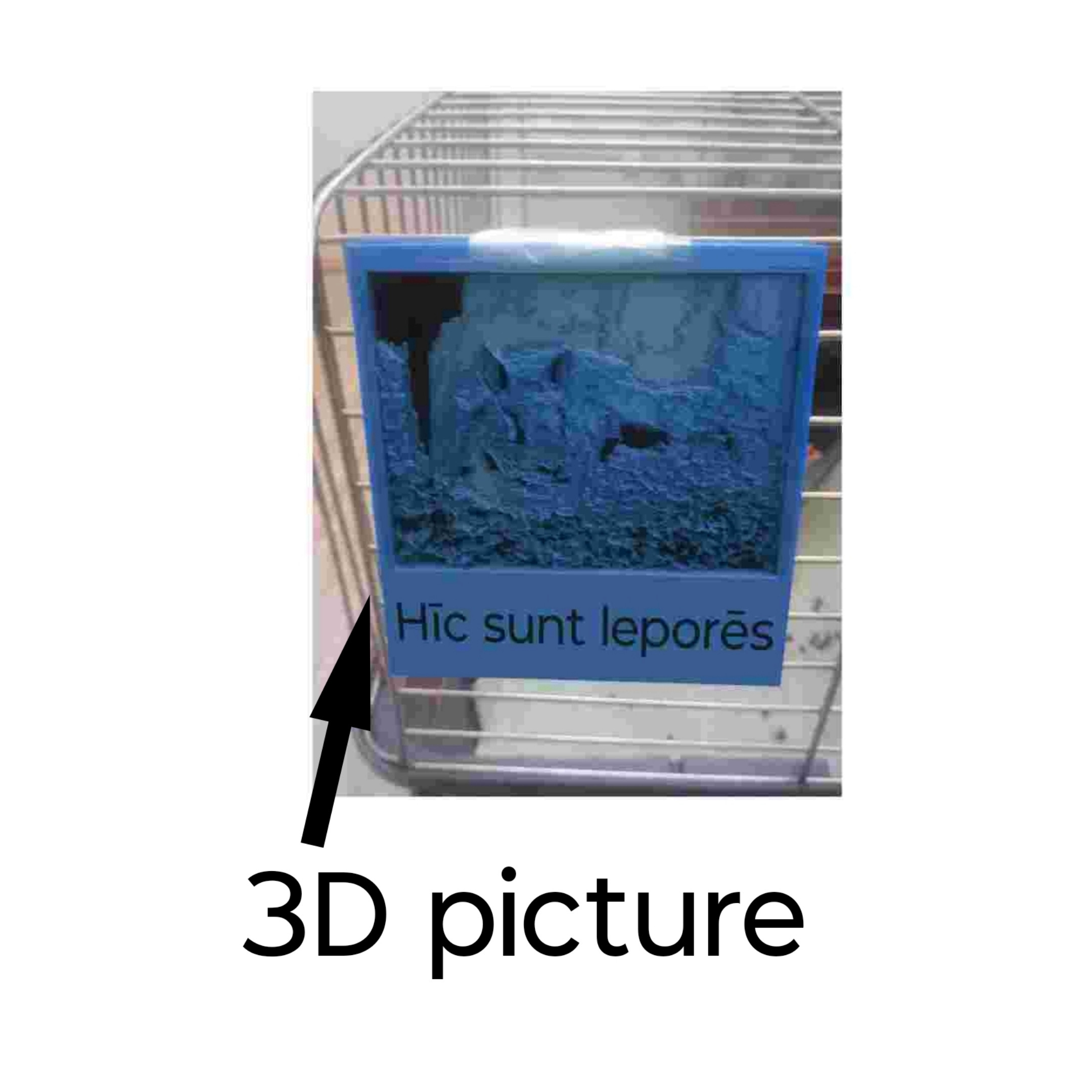 Latin Rabbit Cage Sign