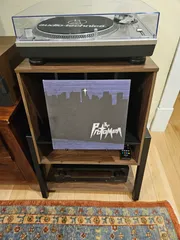Vinyl record cover display pegs for FITUEYES stand