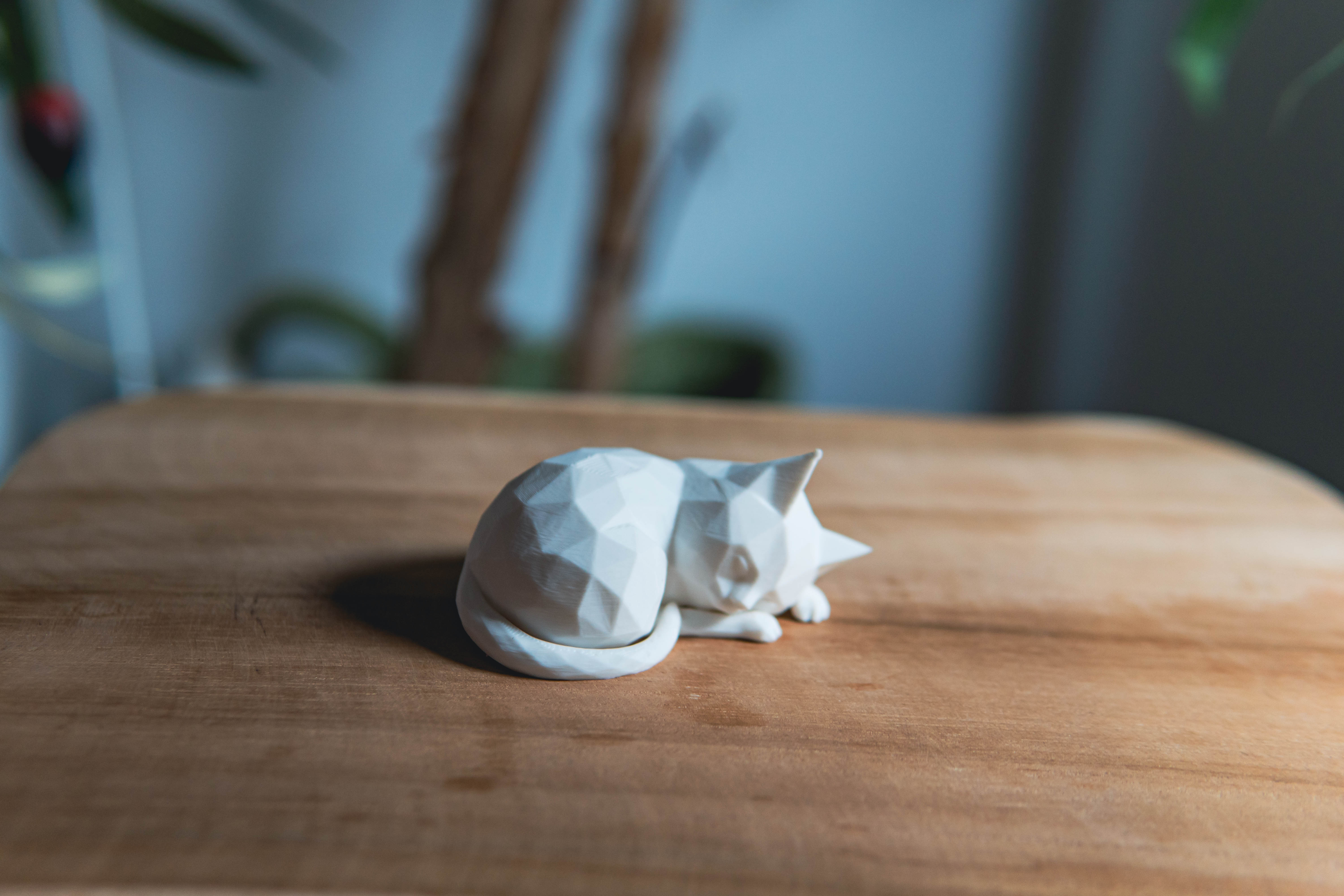 Sleeping Low Poly Cat