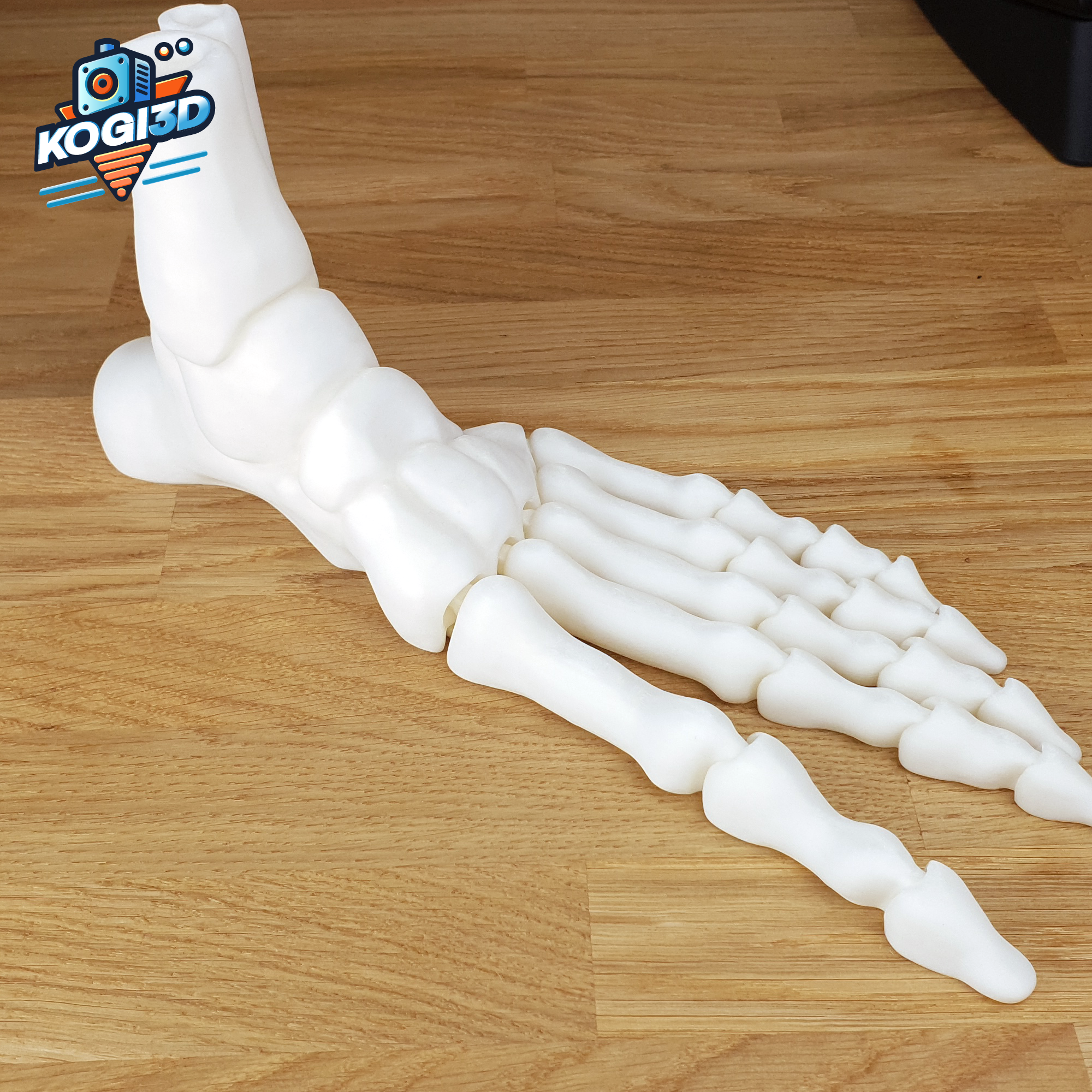 Print in Place Fully Articulated Skeleton Foot