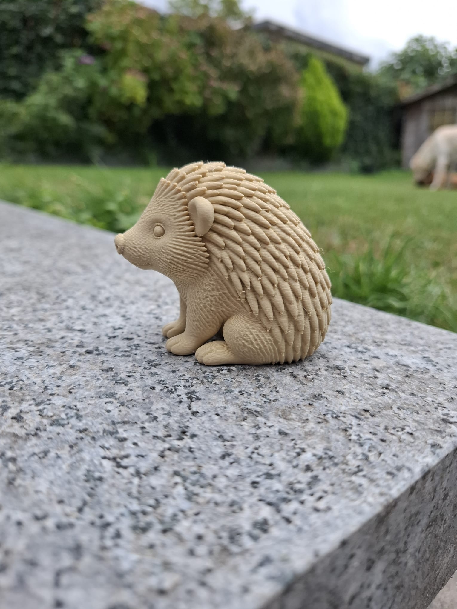 Tiny Spiky Friend