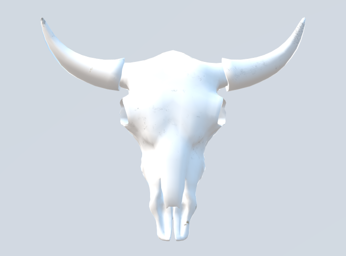 cow skull