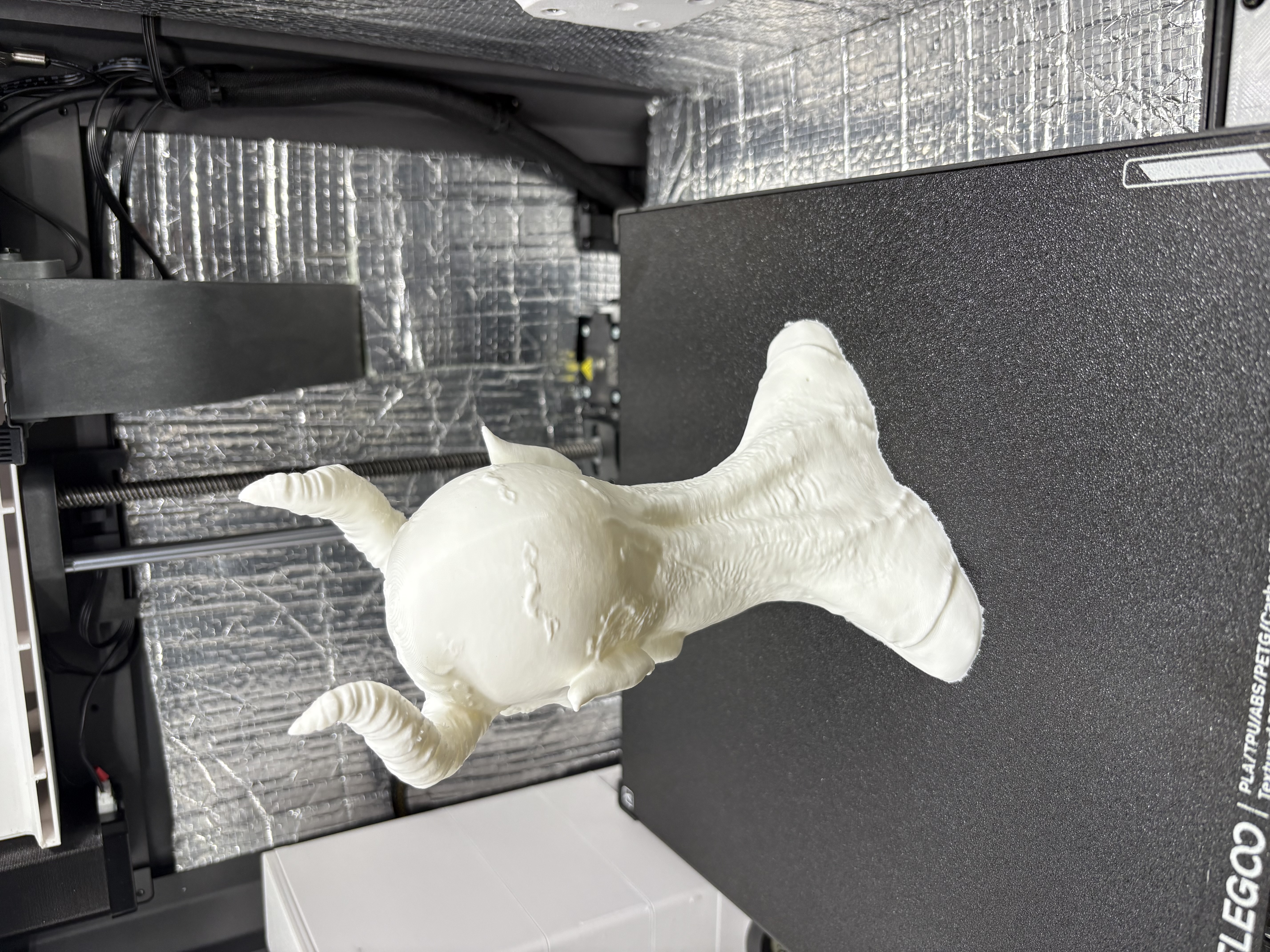 Miniatura 3 do modelo 3D demon bust