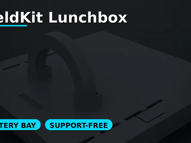 FieldKit Lunchbox — Portable Framework Laptop 12 Mainboard Case with Battery Bay + Handle (Support-Free)
